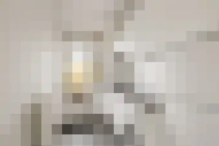 Von Kleistlaan 11 2 Utrecht thumbnail 5