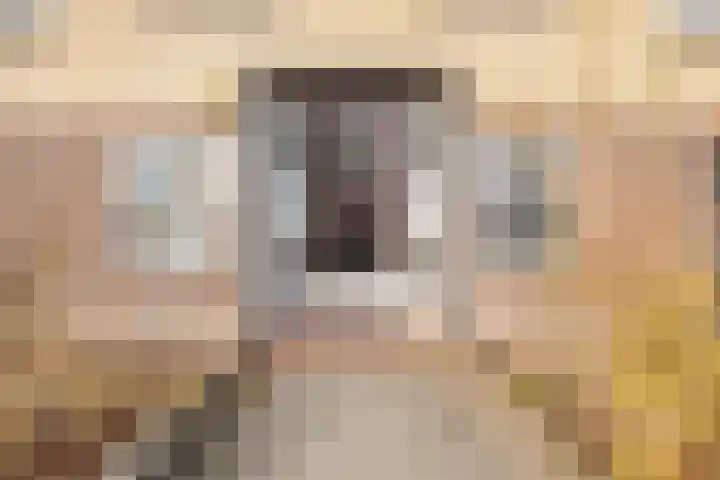 Von Kleistlaan 11 2 Utrecht thumbnail 8