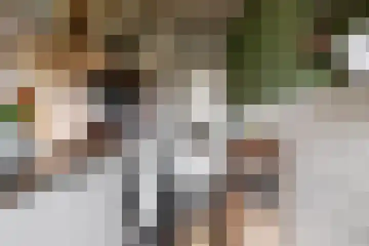 Von Kleistlaan 11 Utrecht thumbnail 13