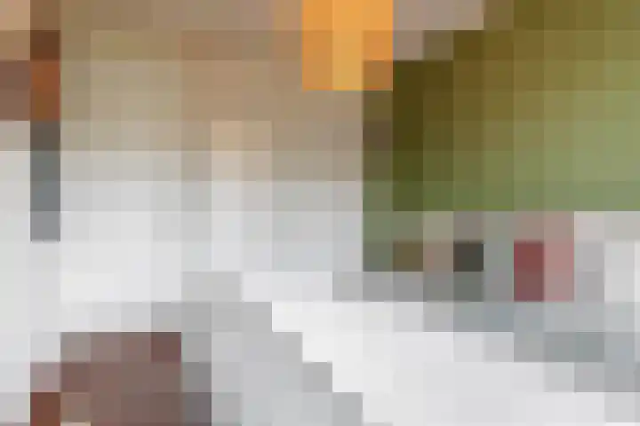 Von Kleistlaan 11 Utrecht thumbnail 15