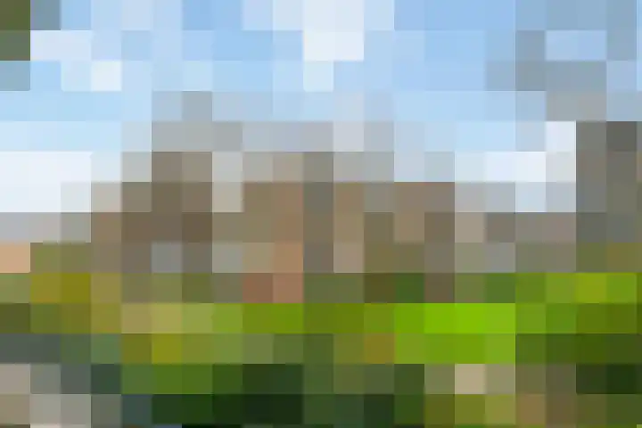 Von Kleistlaan 11 Utrecht thumbnail 20