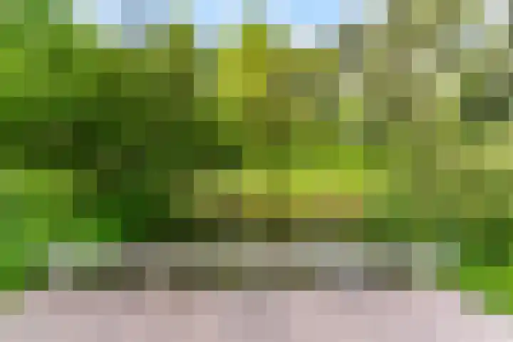 Von Kleistlaan 11 Utrecht thumbnail 22