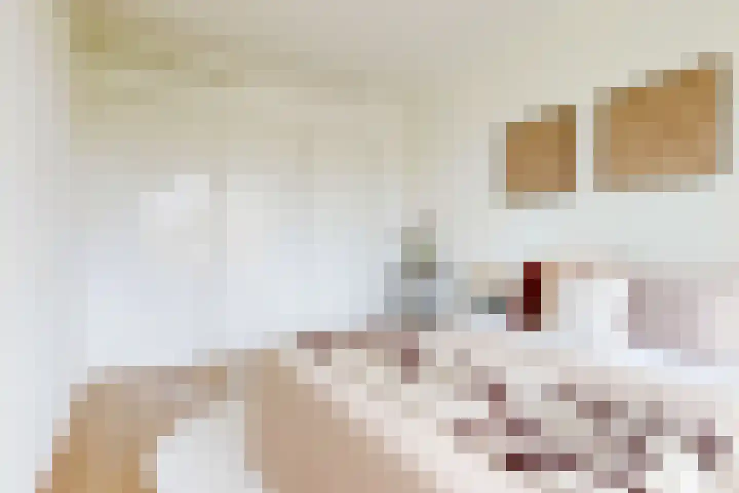 Von Kleistlaan 7 1 Utrecht thumbnail 13