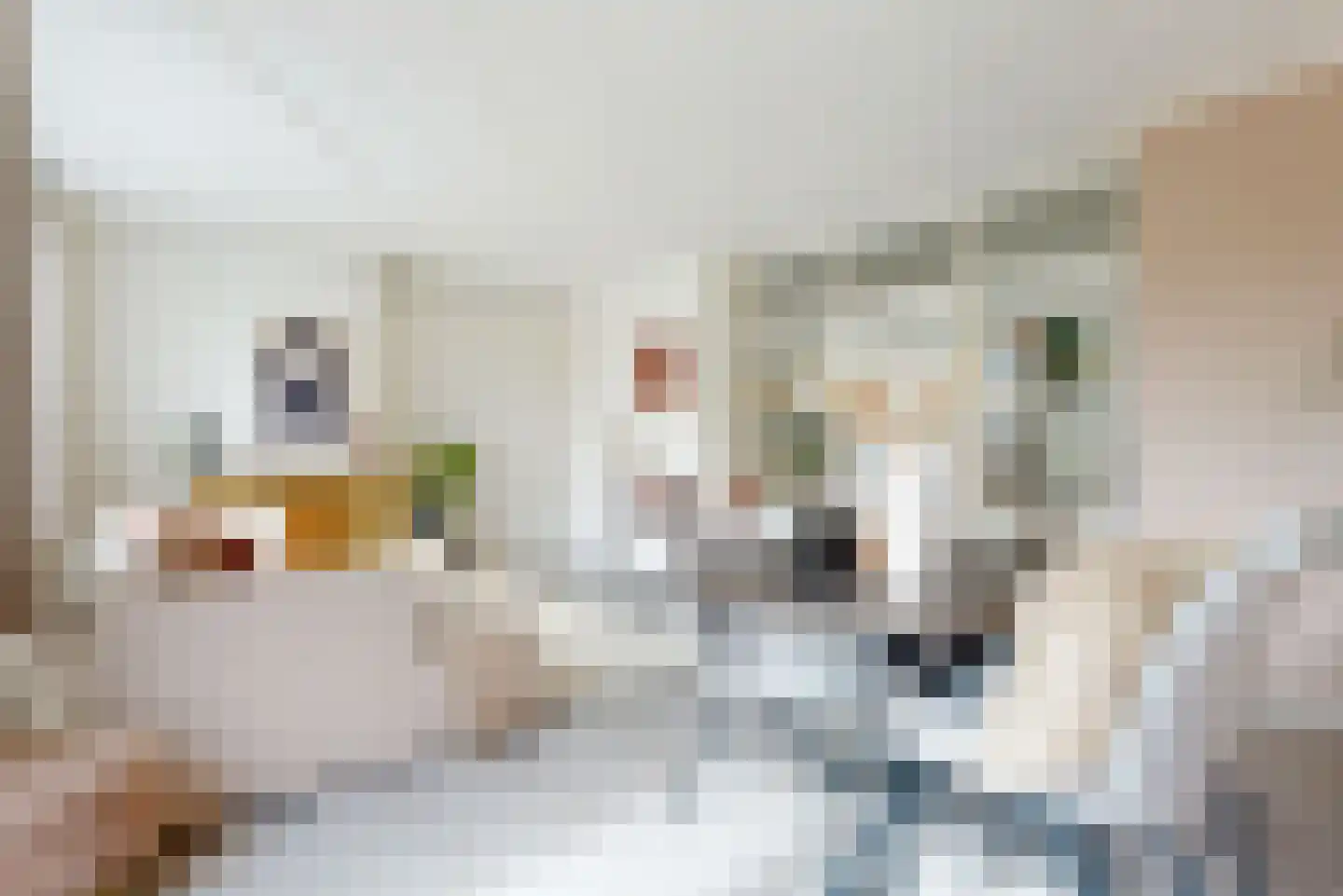 Von Kleistlaan 7 1 Utrecht thumbnail 8