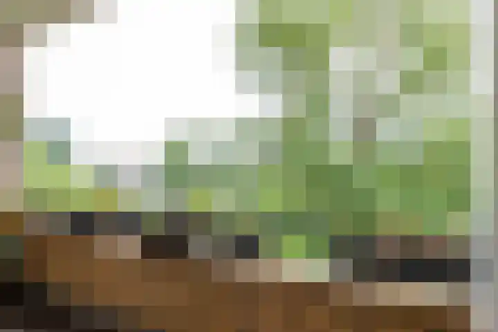 Von Kleistlaan 7 2 Utrecht thumbnail 11