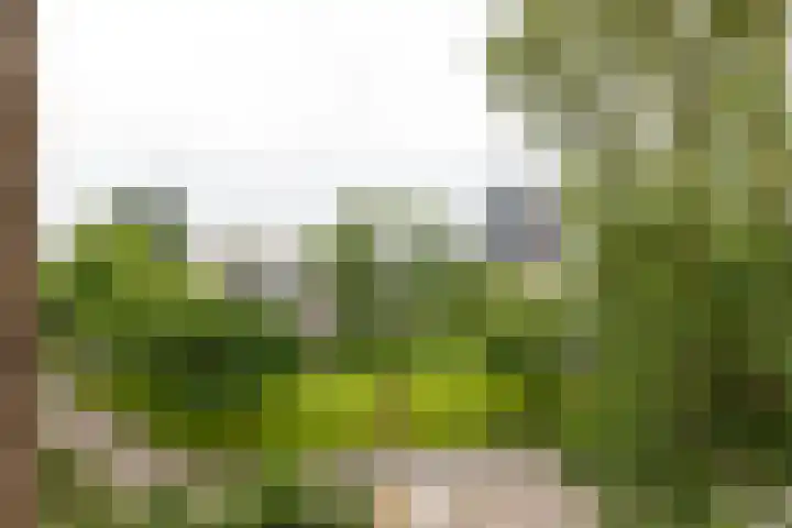 Von Kleistlaan 7 2 Utrecht thumbnail 12