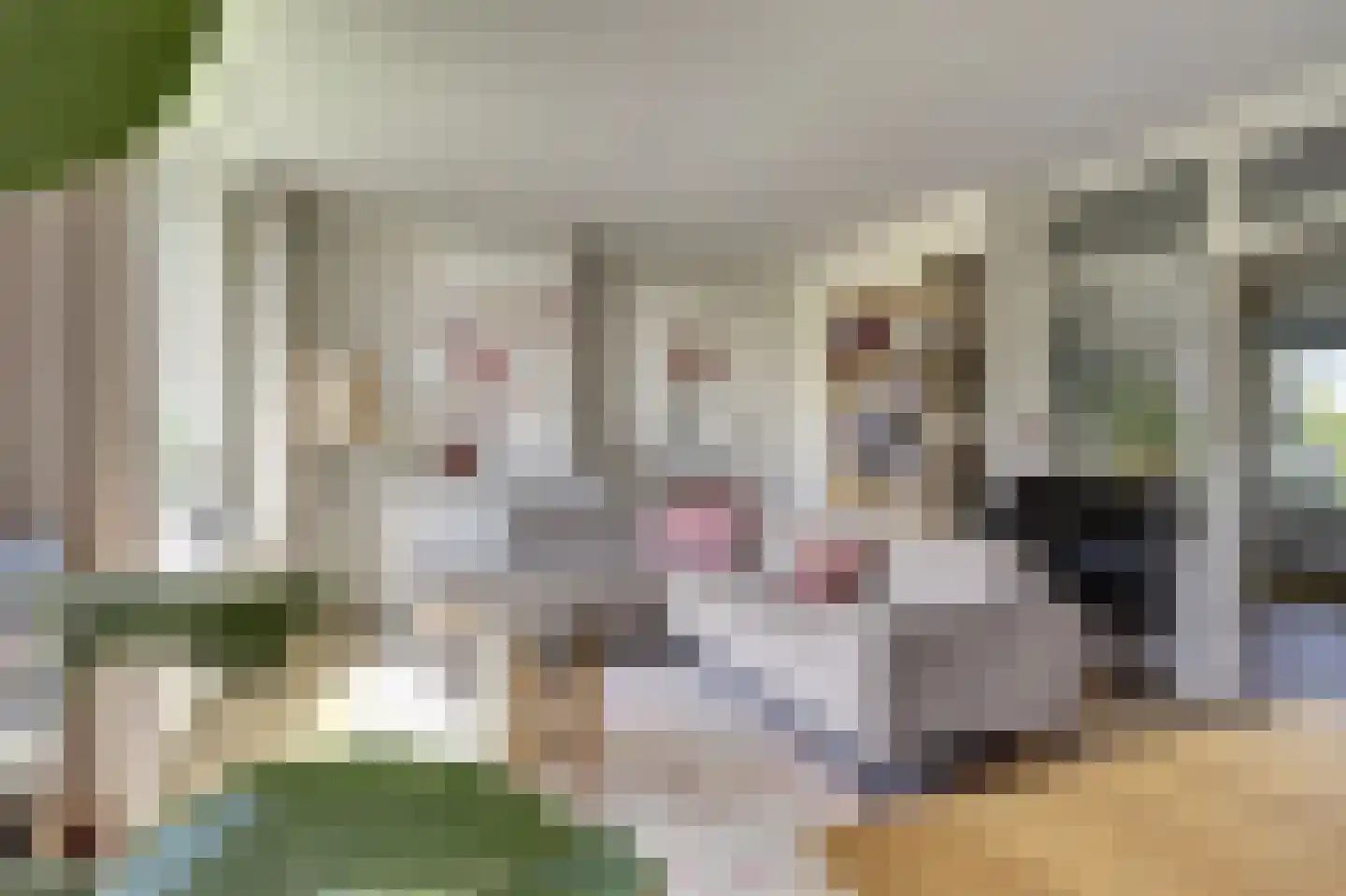 Von Kleistlaan 7 2 Utrecht thumbnail 12