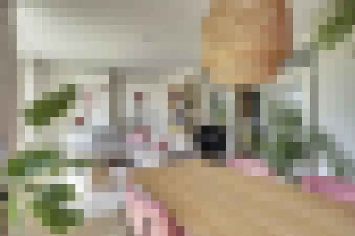 Von Kleistlaan 7 2 Utrecht thumbnail 13