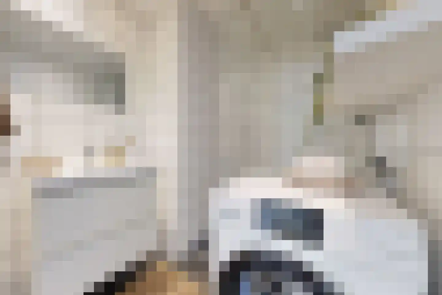 Von Kleistlaan 7 2 Utrecht thumbnail 16
