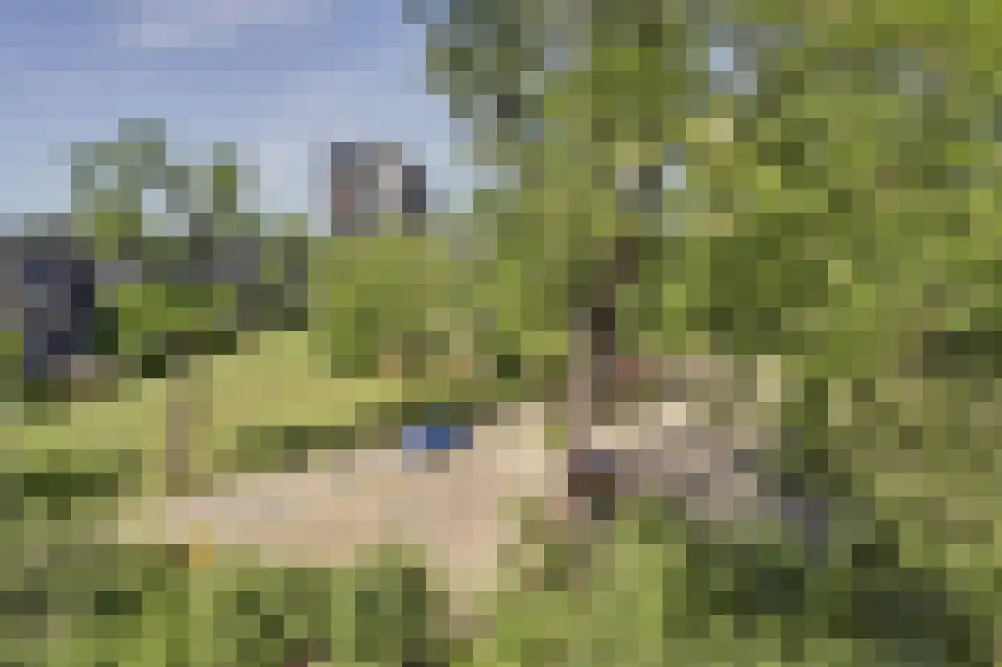 Von Kleistlaan 7 2 Utrecht thumbnail 27