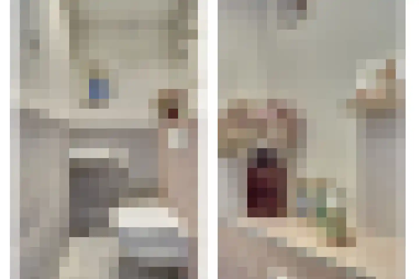 Von Kleistlaan 7 2 Utrecht thumbnail 38