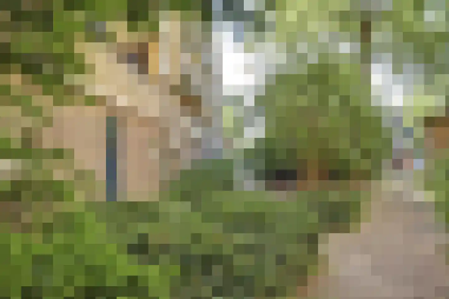 Von Kleistlaan 7 2 Utrecht thumbnail 45