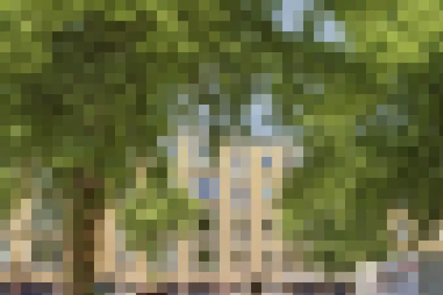 Von Kleistlaan 7 2 Utrecht thumbnail 50