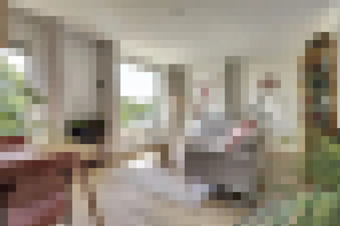 Von Kleistlaan 7 2 Utrecht thumbnail 9