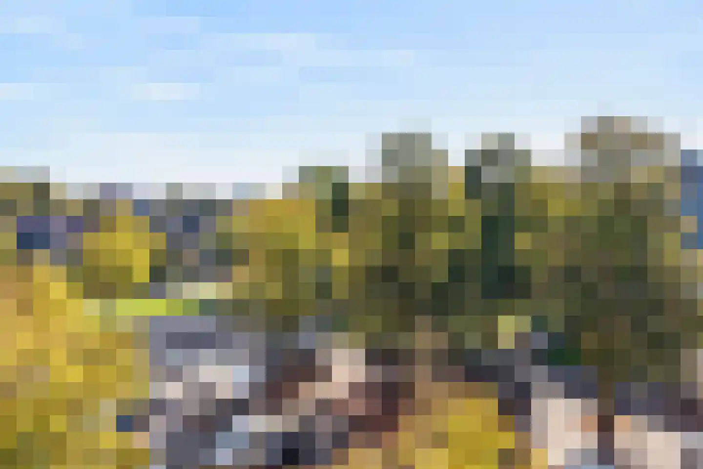 Von Kleistlaan 9 3 Utrecht thumbnail 10