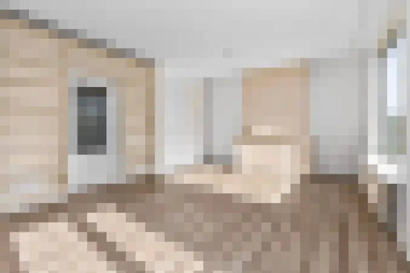 Von Kleistlaan 9 3 Utrecht thumbnail 12