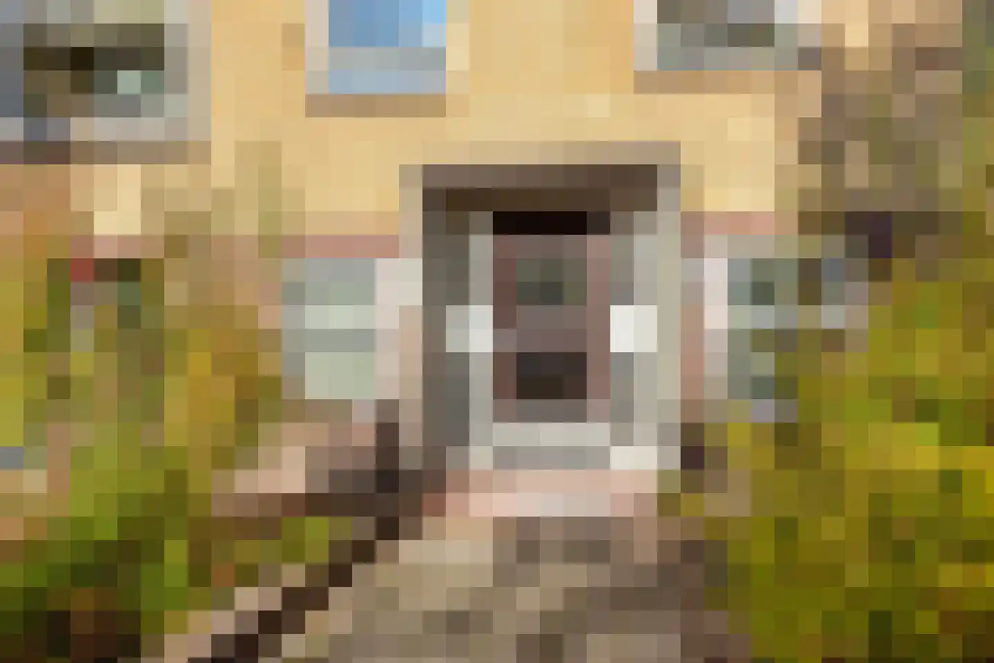 Von Kleistlaan 9 3 Utrecht thumbnail 7