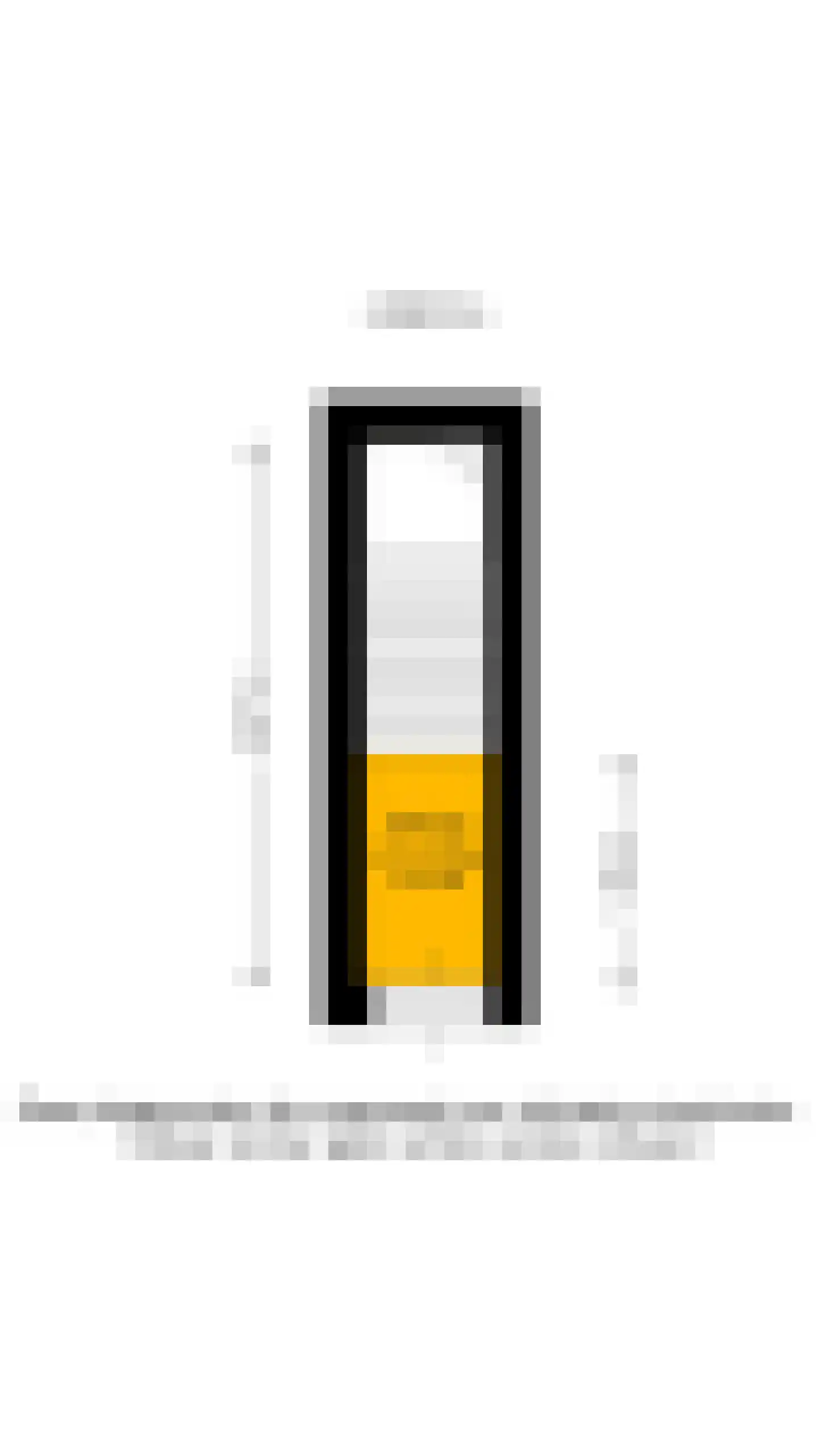 Von Leibnizstraat 4 A Schiedam thumbnail 37