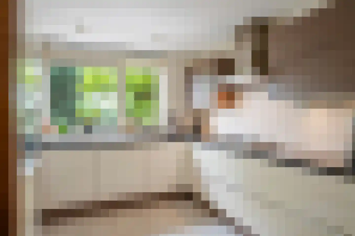 Von Liebigstraat 12 Haarlem thumbnail 22