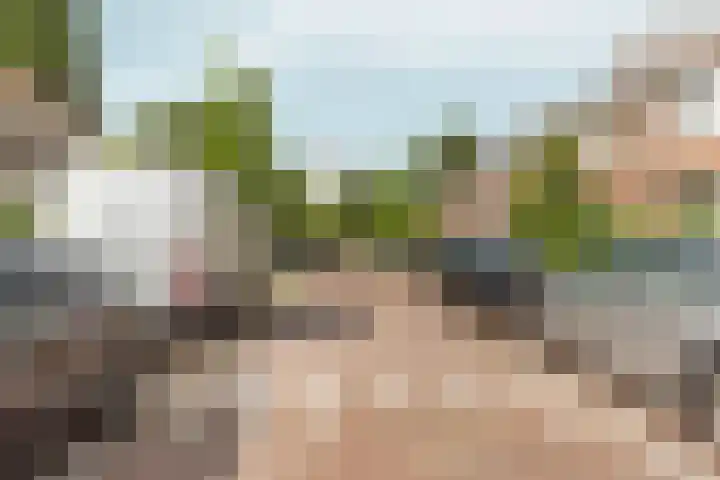 Von Liebigweg 15 H Amsterdam thumbnail 21