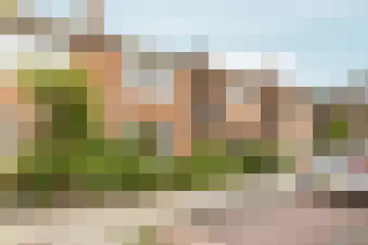 Von Liebigweg 15 H Amsterdam thumbnail 22