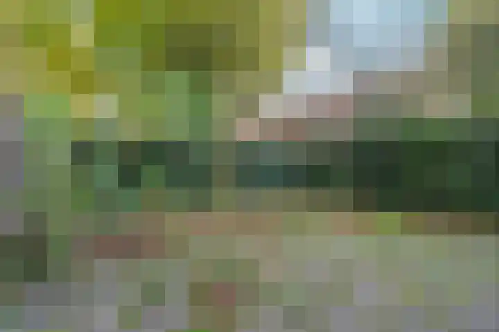 Von Liebigweg 24 Amsterdam thumbnail 29
