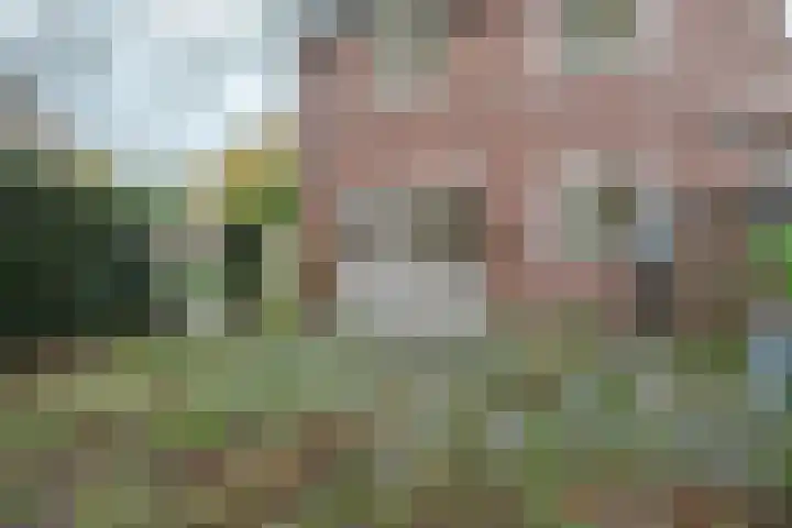 Von Liebigweg 24 Amsterdam thumbnail 30