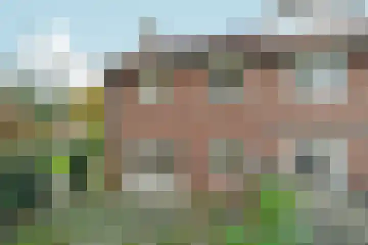 Von Liebigweg 24 Amsterdam thumbnail 5