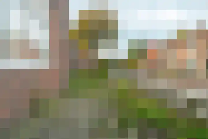 Von Liebigweg 24 Amsterdam thumbnail 6