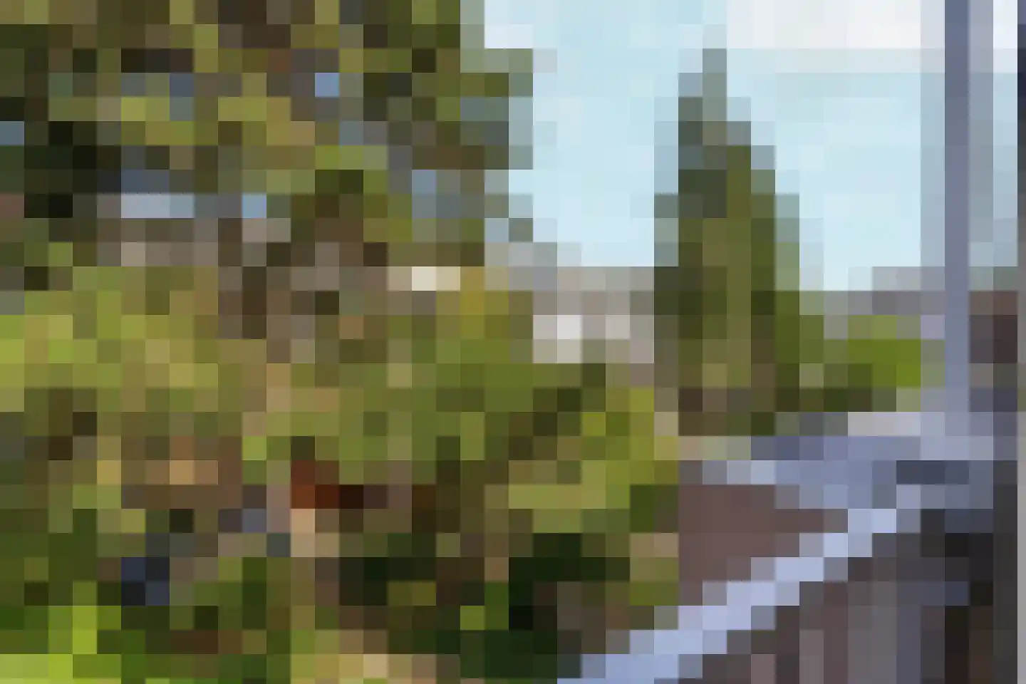 Von Liebigweg 29 1 Amsterdam thumbnail 14