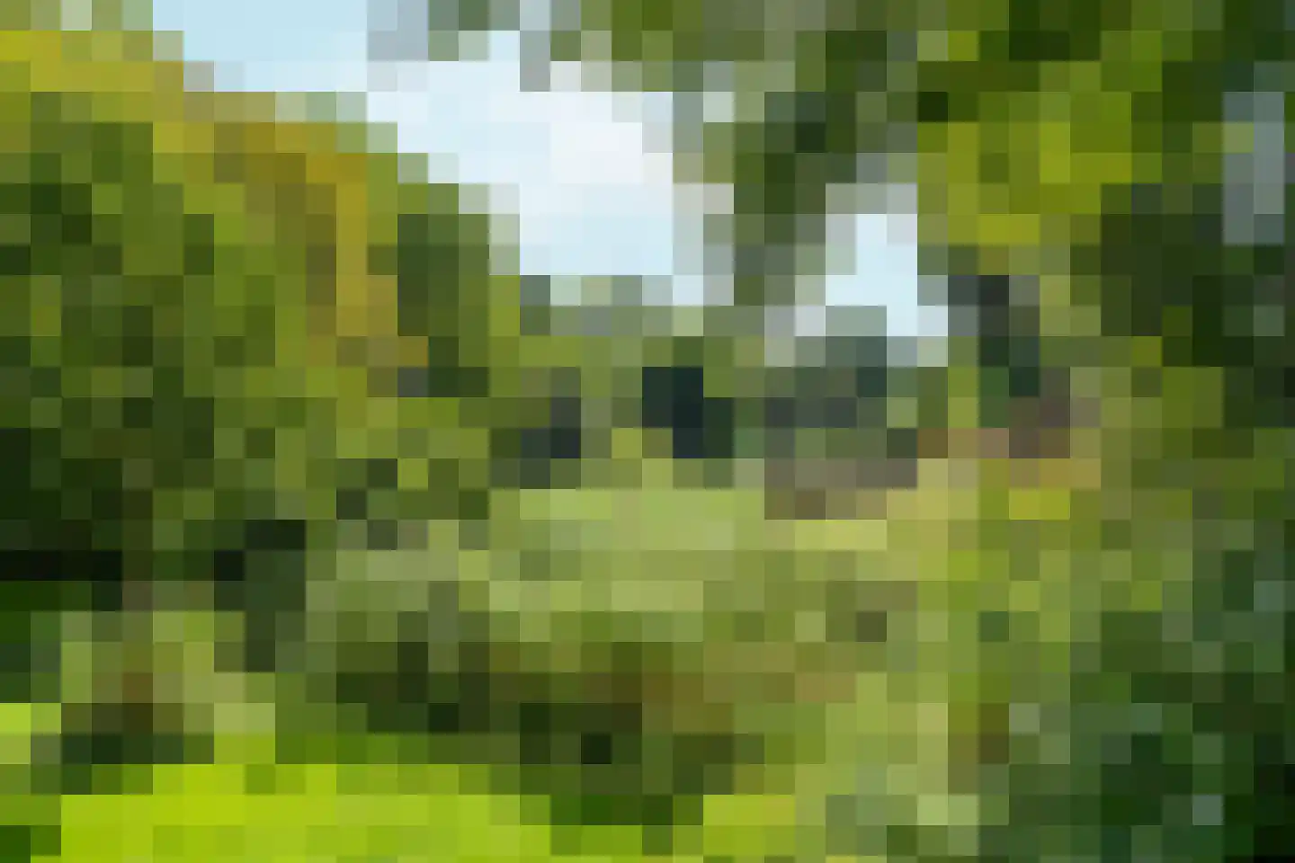 Von Liebigweg 29 1 Amsterdam thumbnail 34