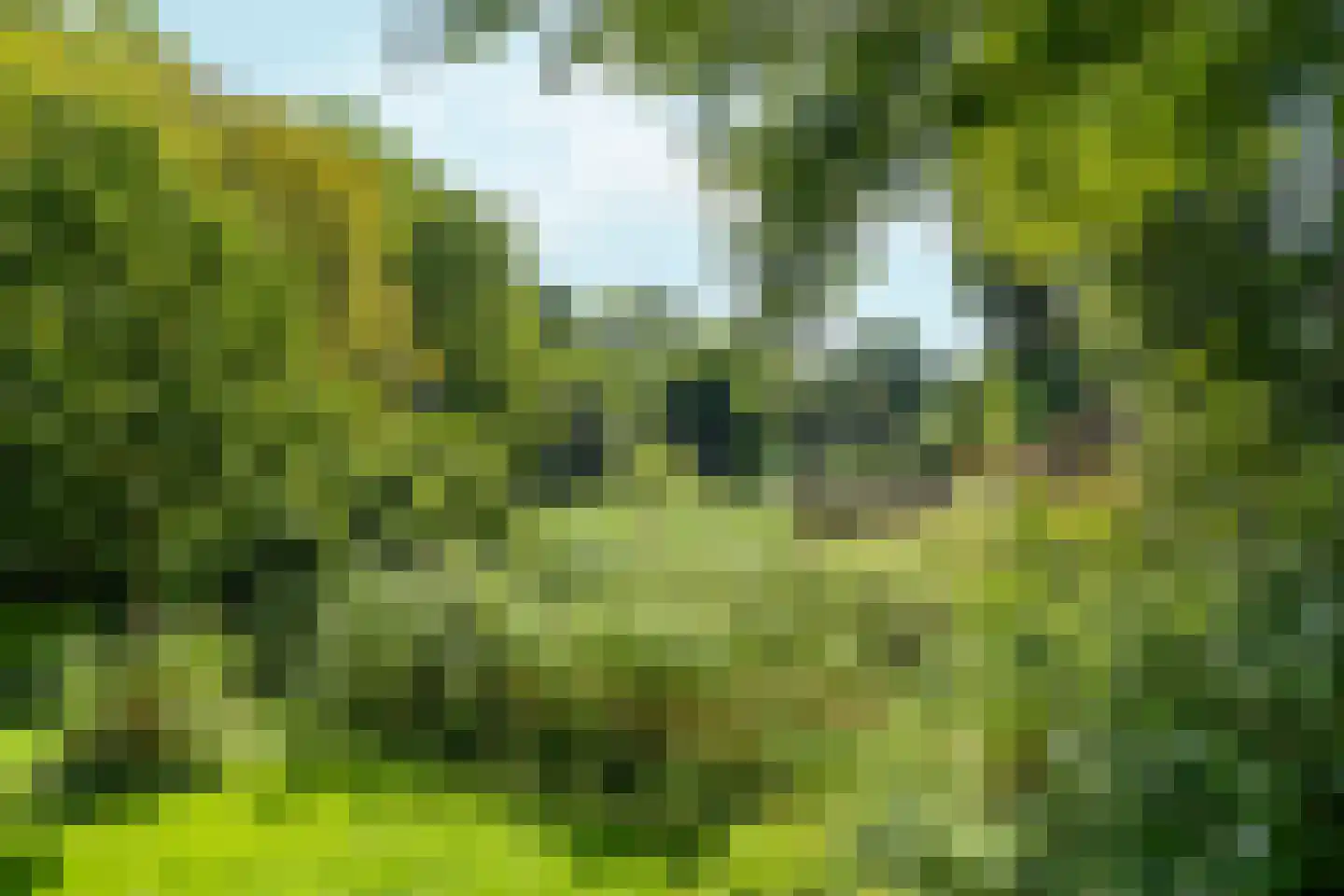 Von Liebigweg 29 1 Amsterdam thumbnail 34
