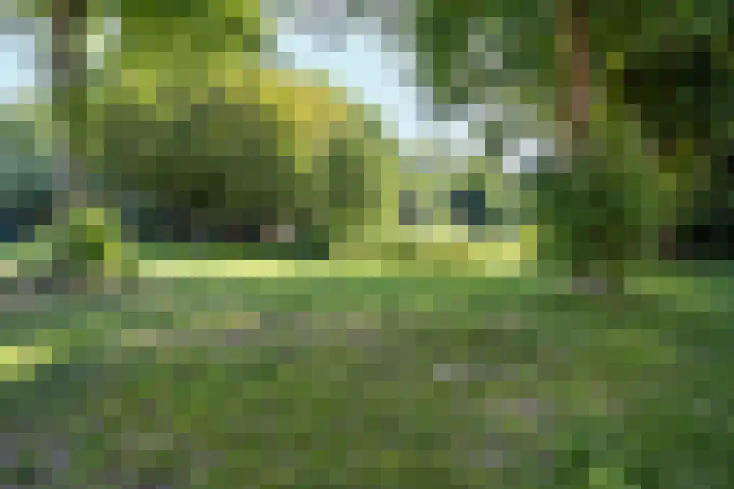 Von Liebigweg 29 1 Amsterdam thumbnail 35