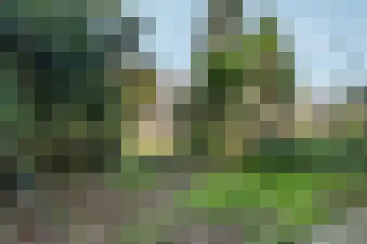 Von Liebigweg 31 H Amsterdam thumbnail 11
