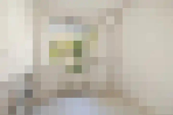 Von Liebigweg 31 H Amsterdam thumbnail 13