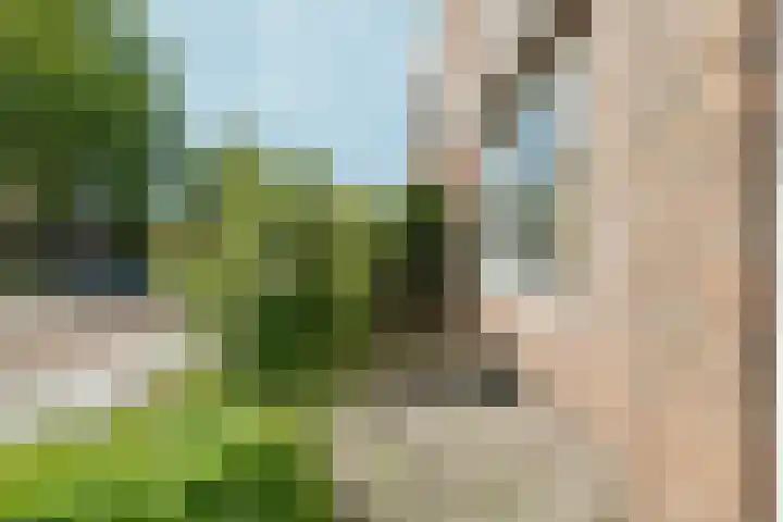 Von Liebigweg 31 H Amsterdam thumbnail 18