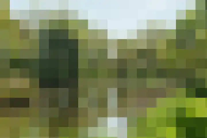 Von Liebigweg 31 H Amsterdam thumbnail 22