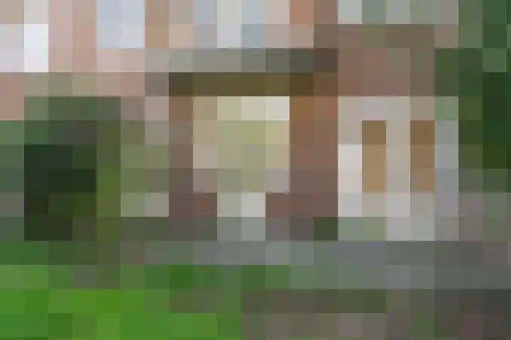 Von Liebigweg 31 H Amsterdam thumbnail 9