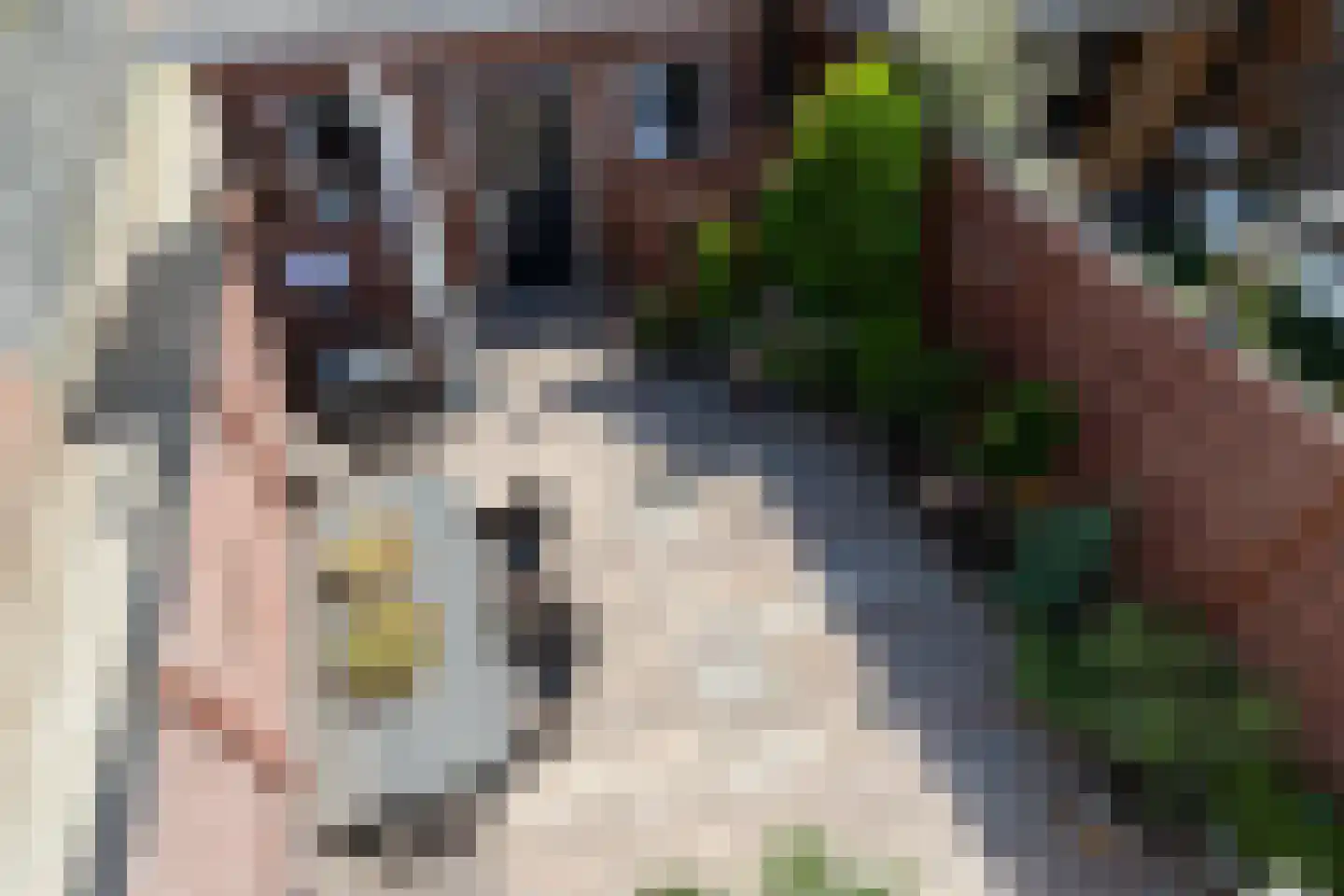 Von Lindernstraat 19 Alblasserdam thumbnail 20