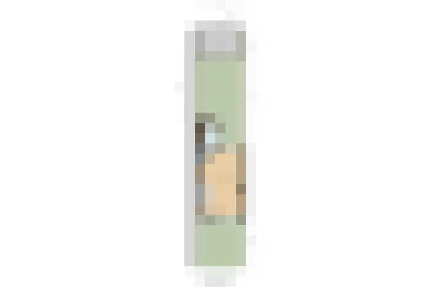 Von Lindernstraat 19 Alblasserdam thumbnail 26