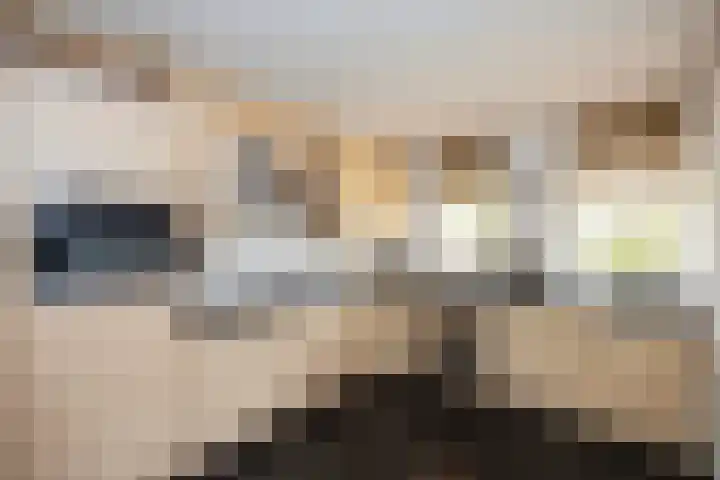 Von Piekartzmarke 33 Zwolle thumbnail 11