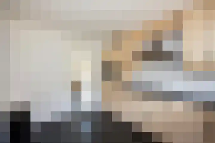Von Piekartzmarke 33 Zwolle thumbnail 12