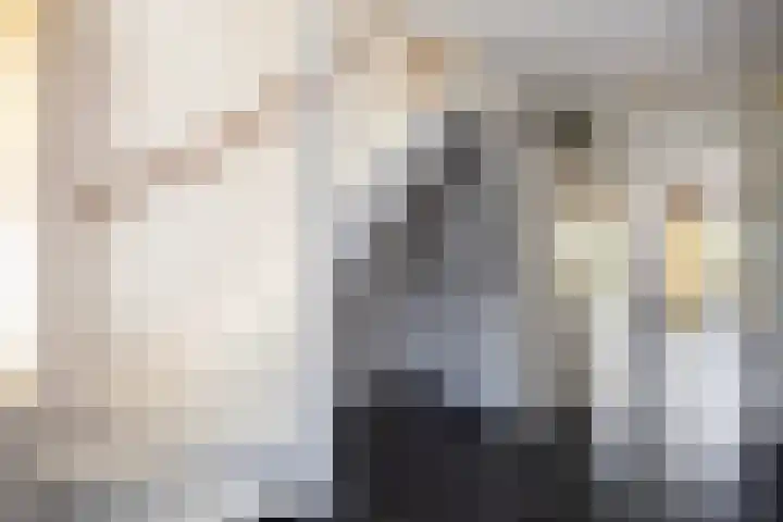 Von Piekartzmarke 33 Zwolle thumbnail 14