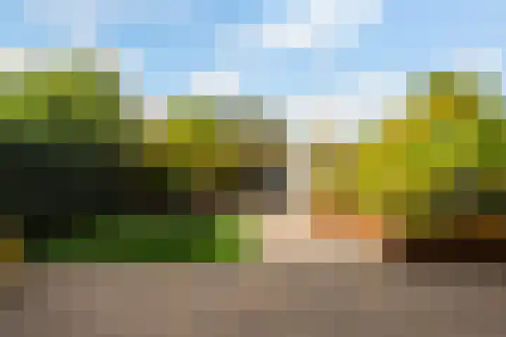 Von Piekartzmarke 33 Zwolle thumbnail 28