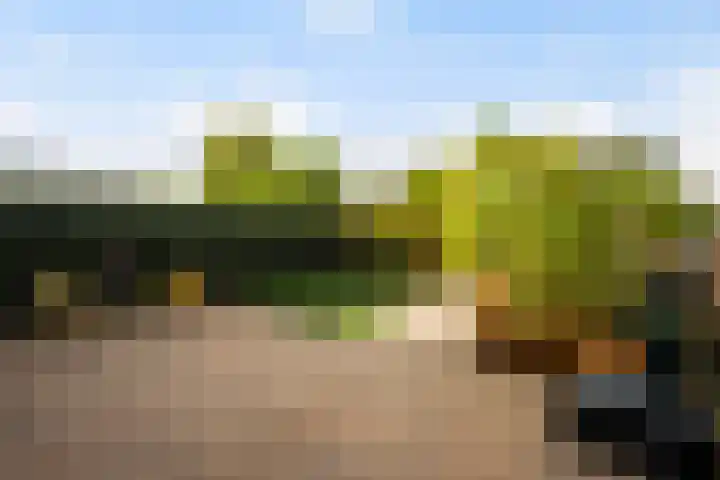 Von Piekartzmarke 33 Zwolle thumbnail 29