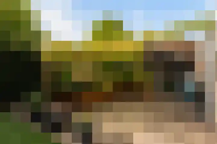 Von Piekartzmarke 33 Zwolle thumbnail 30