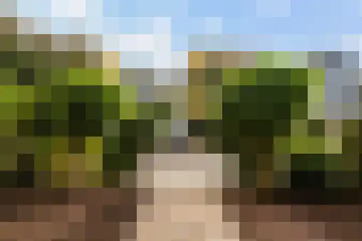 Von Piekartzmarke 33 Zwolle thumbnail 4