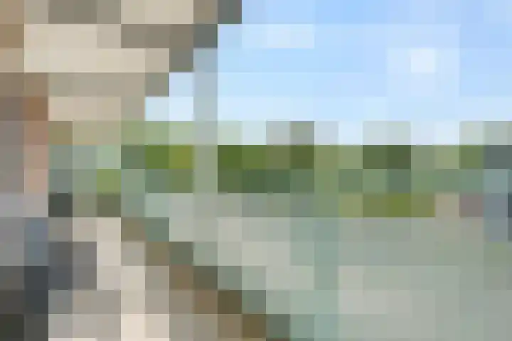 Von Piekartzmarke 62 Zwolle thumbnail 10