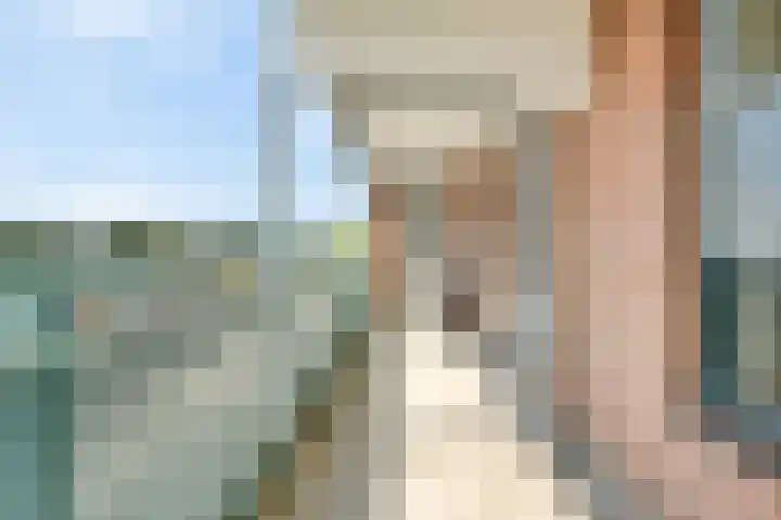 Von Piekartzmarke 62 Zwolle thumbnail 12