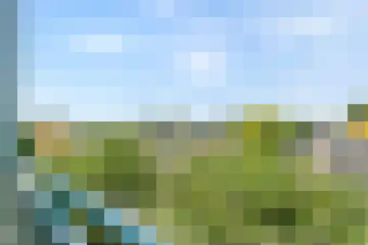 Von Piekartzmarke 62 Zwolle thumbnail 19